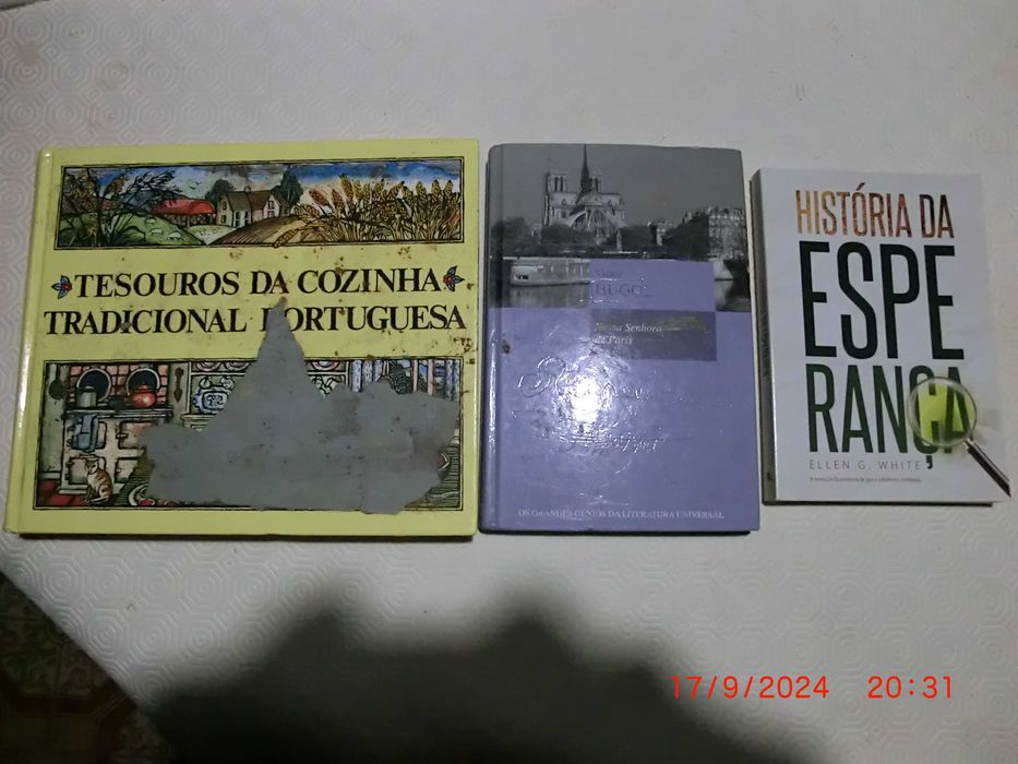 Lote de 14 livros diversos.
