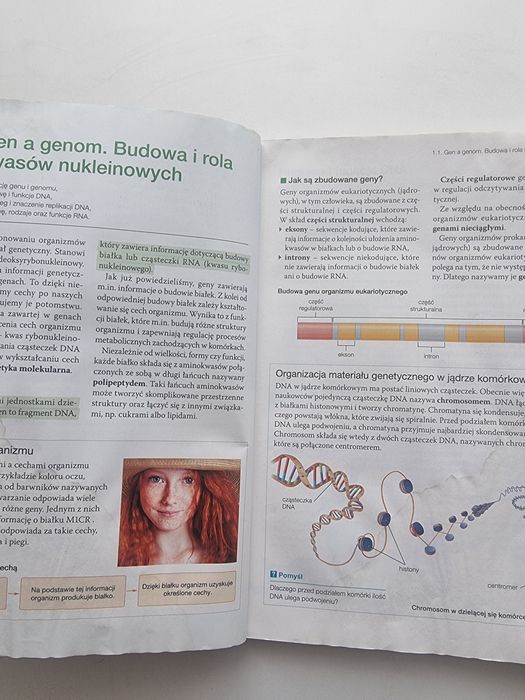 Podręcznik biologia na czasie 3