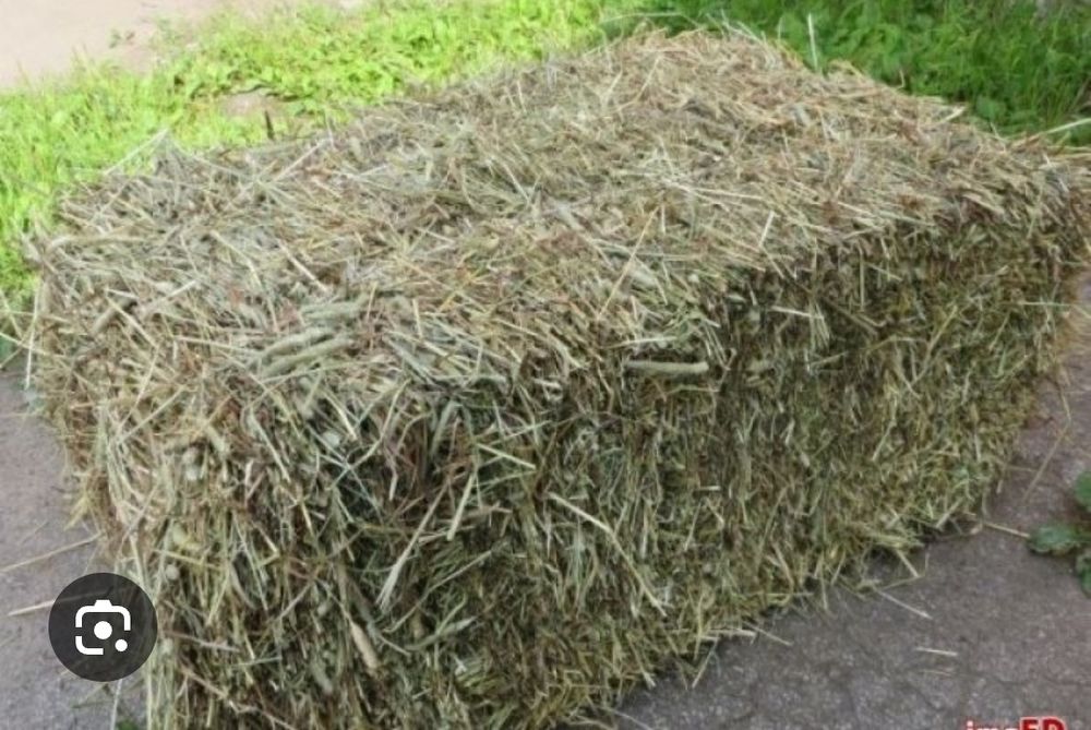 Sprzedam siano słomę w kostkach