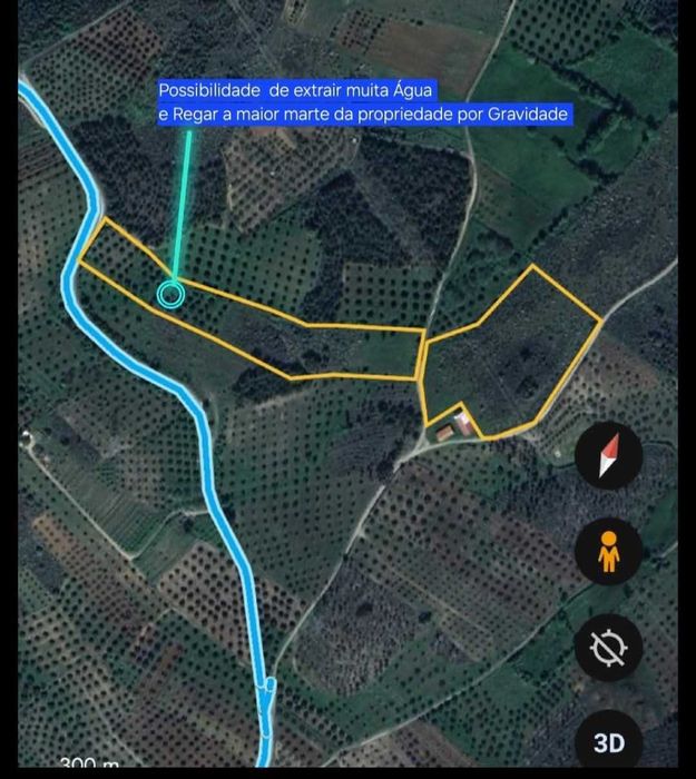 Terreno com Olival com aproximadamente 2,5 hectares em Olmos, Macedo de cavaleiros