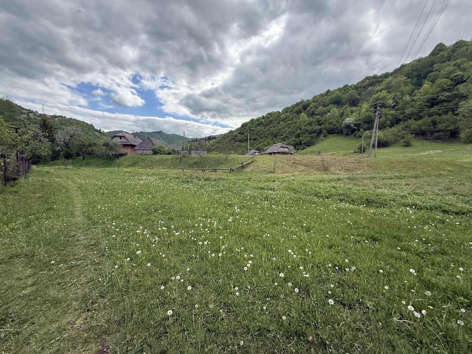 43 сотки землі в Карпатах, с. Запереділля — гори та природа