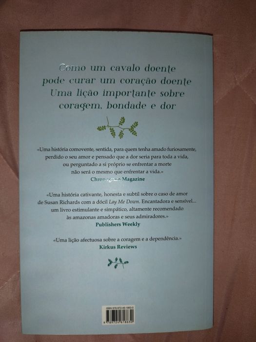 Livro como salvar um coração partido