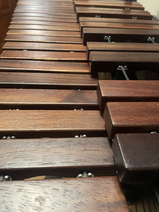 Ksylofon dla początkujących