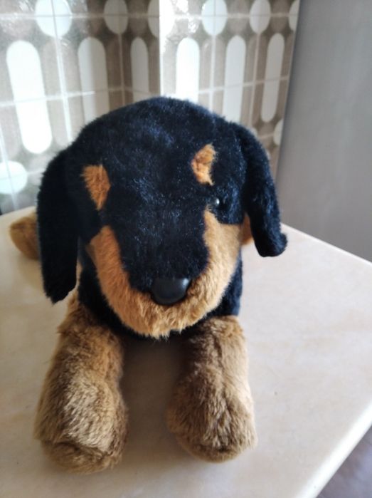 Vários peluches de animais