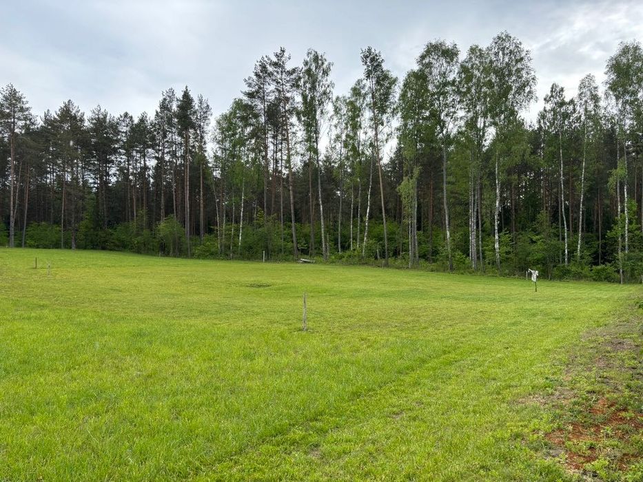 Działka z warunkami zabudowy (WZ) Wymój/Stawiguda