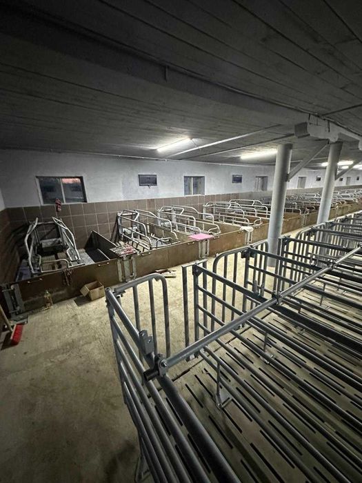 Ферма, господарські будівлі та споруди