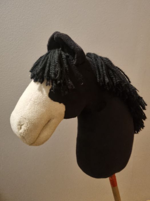 Hobby horse na sprzedaż hodowla KFR