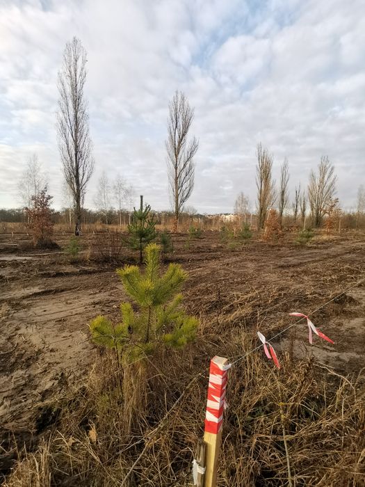 Ділянка 10 сот під будівництво 32000$ Білогородка