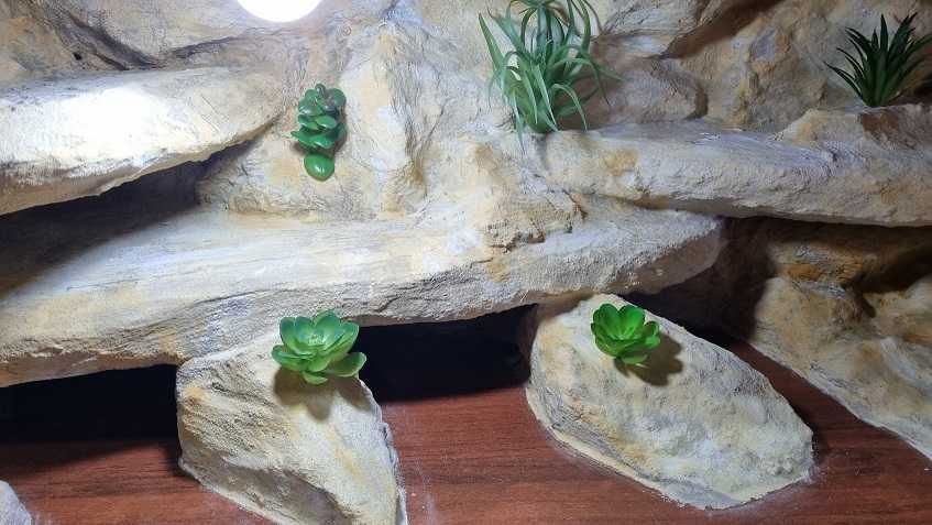 Terrarium  dla gekona  80x40x40  gotowe
