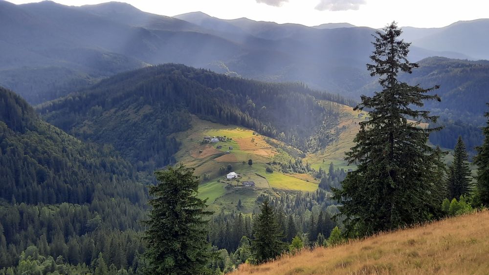 Рівна ділянка, під будову. Межує з лісом. 40 соток в Дземброні