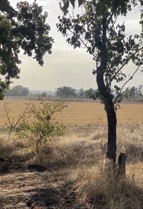 Новая нарезка  возле Початка, Одесса