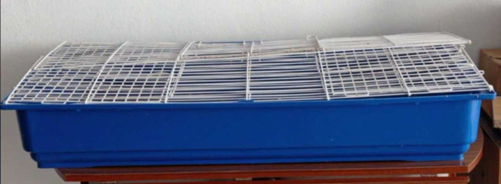 Gaiolas para roedores