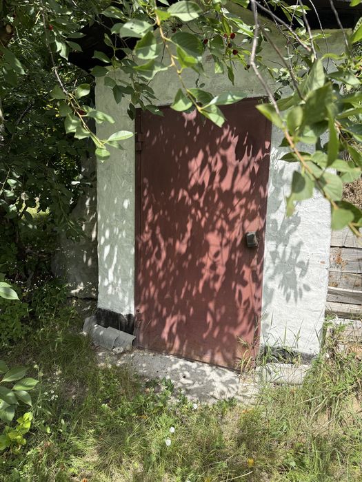 Продам будинок с. Лісовичі Київська область