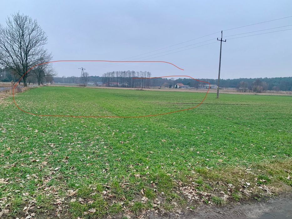 Sprzedam działkę budowalno rolną 2668 m² - Widok 4