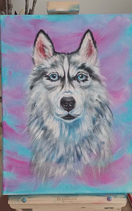 Husky - obraz akrylowy