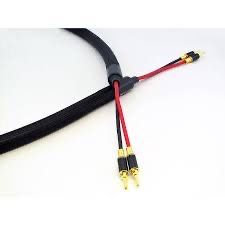 Purist Audio Design Aqueous Aureus