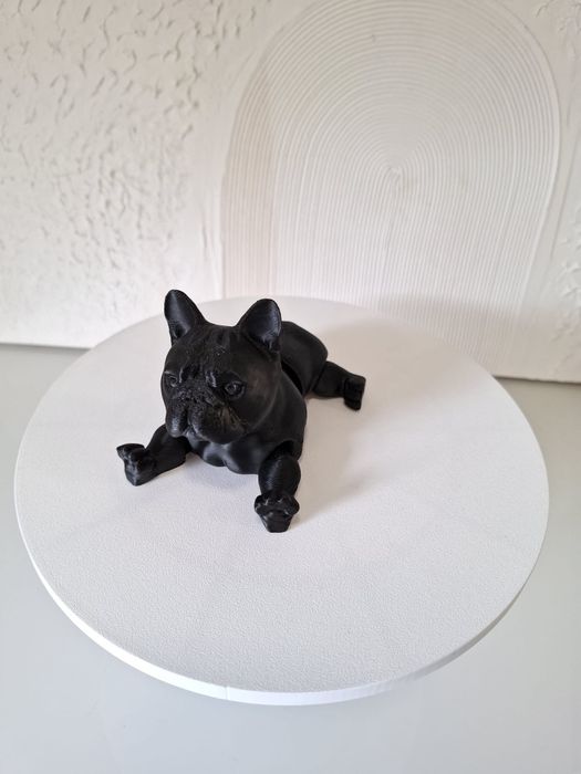 Cão de raça decorativo