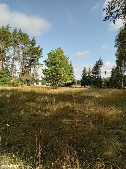 Urokliwa działka 2118 m² w malowniczym Powidzkim Parku Krajobrazowym