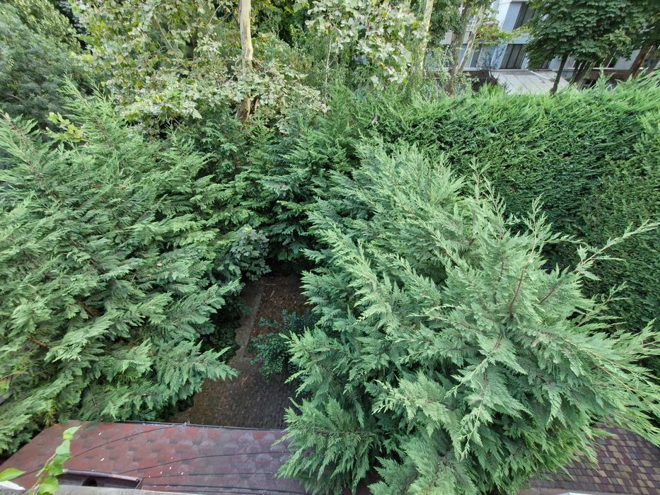 Продам коттедж   у моря ЛД