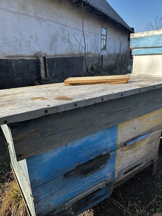 Продам улья  улики
