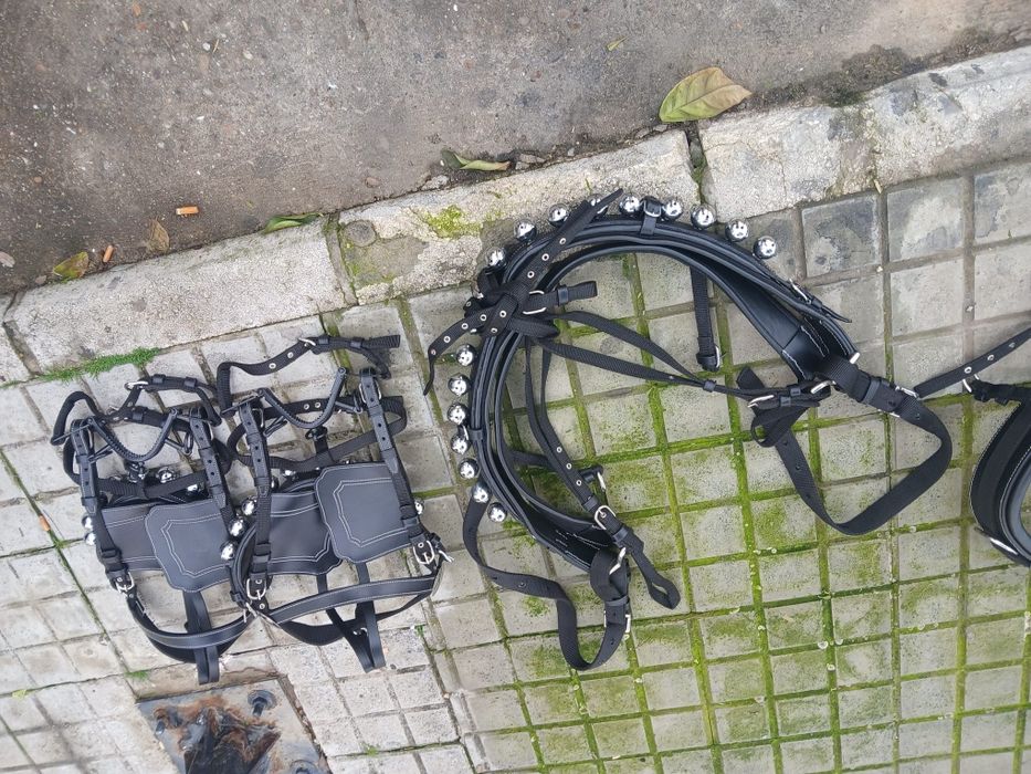 Arreio de engate para parelha.