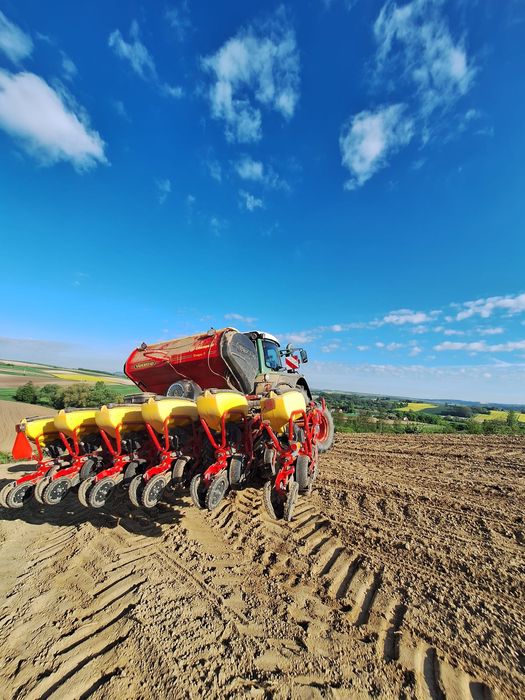 Usługa Siew kukurydzy vaderstad tempo t6 uprawa pasowa