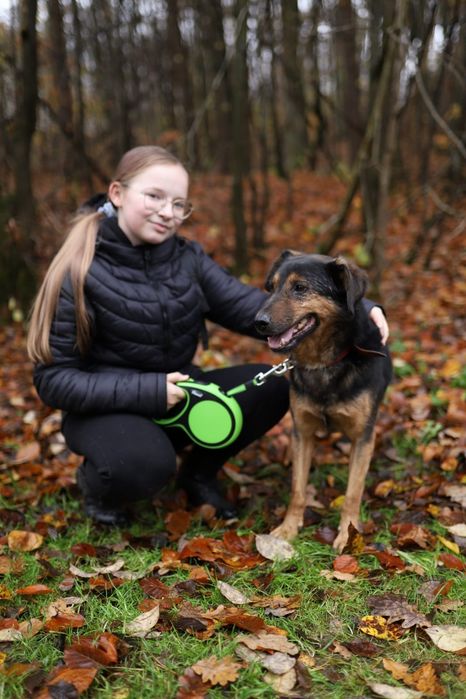 KAZIK 3-letni do adopcji!