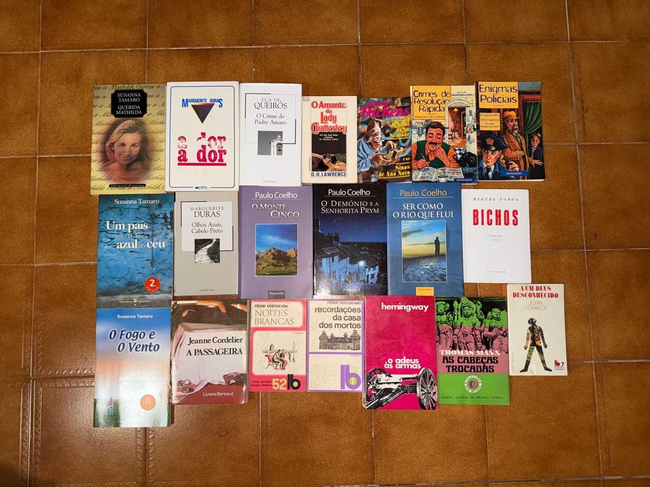 Vendo conjunto de 200+ livros (1-8)
