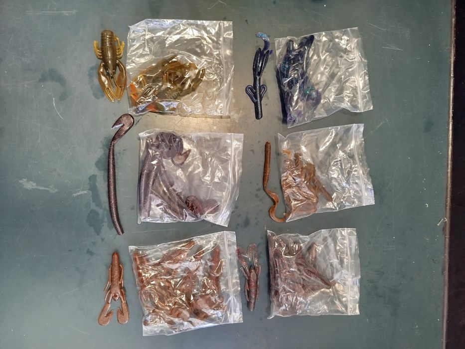 Lotes de amostras para achigã