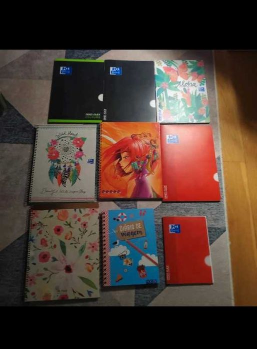 Conjunto diverso de canetas + 9 cadernos