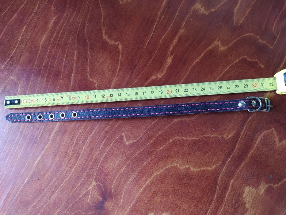 Ошейник для маленькой собачки, щенка, кошки