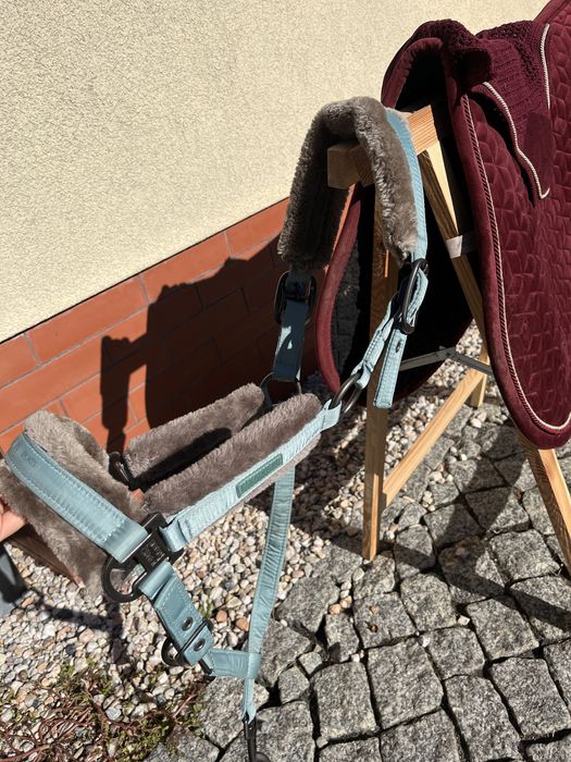 kantar eskadron balsamgreen