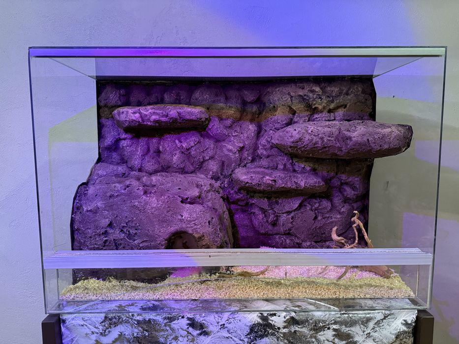 Ręcznie Tworzone Ścianki 3D do terrarium – Na Zamówienie