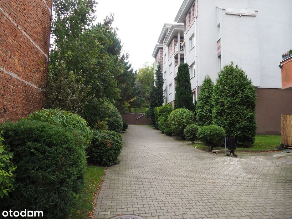 Wynajem, 2 pok., Gdańsk Siedlce, ul. Szara