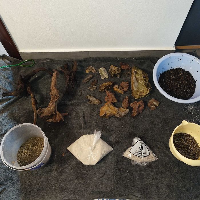 Aquário completo de água quente 50L