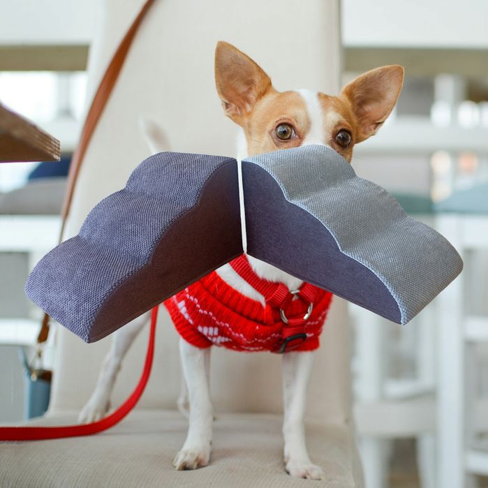 Сходинки для тварин, лесенка для собак і котів, драбинка для тварин