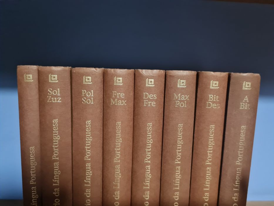 Conjunto 8 livros - Dicionários