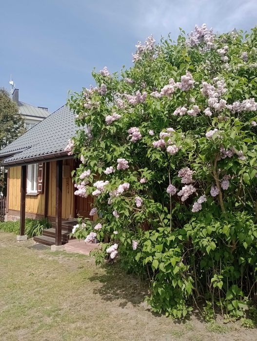 Dom letniskowy nad jeziorem Firlej.