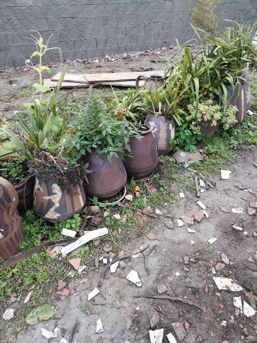 Vendo vasos como novos