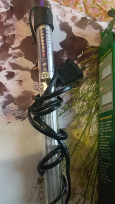 Термометр і фільтр для акваріума