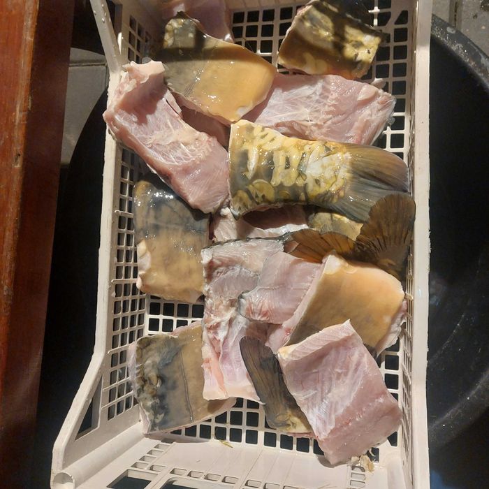 Karp z Zatora - cały Kraków