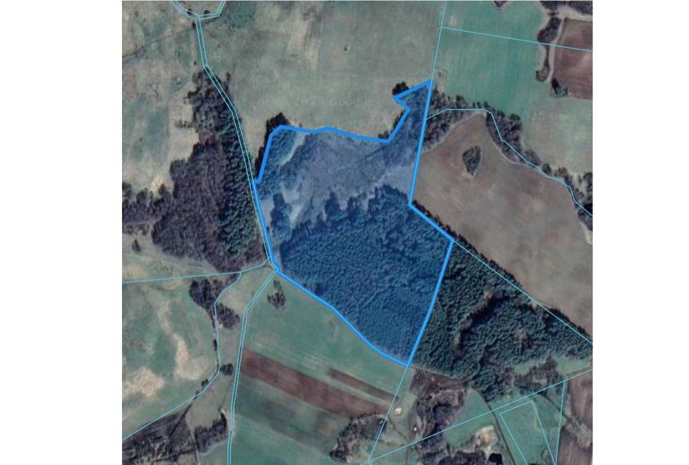 Sprzedam las i działkę rekreacyjną w województwie warmińsko-mazurskim