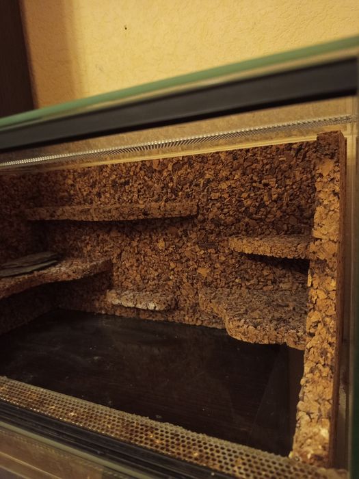 Terrarium dla gekon lamparciego