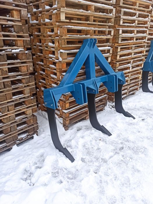 Głębosz 2 3 łapy zęby