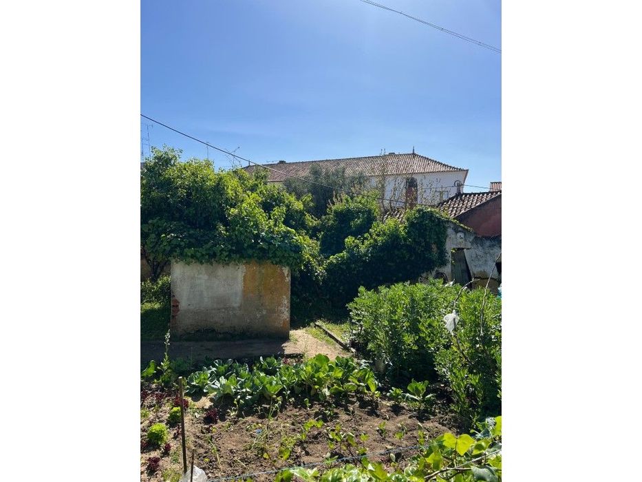 LOTE p/ construção