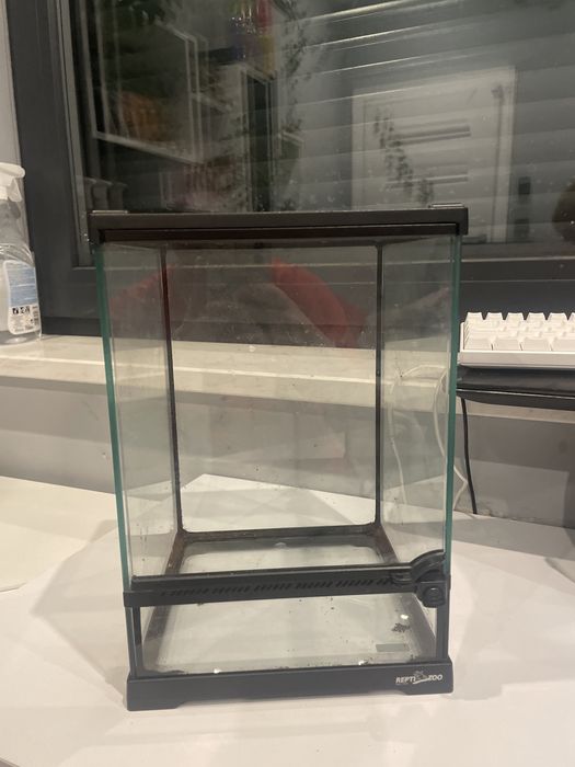 Terarium dla gekona patyczaka i innych zwierzaków