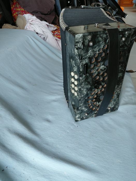 Concertina Cláudio