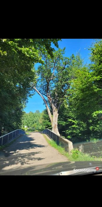 Mazury-Ostróda,  blisko S7