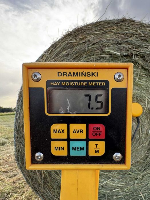 Siano w belach 2026 - przyjmuję zamówienia