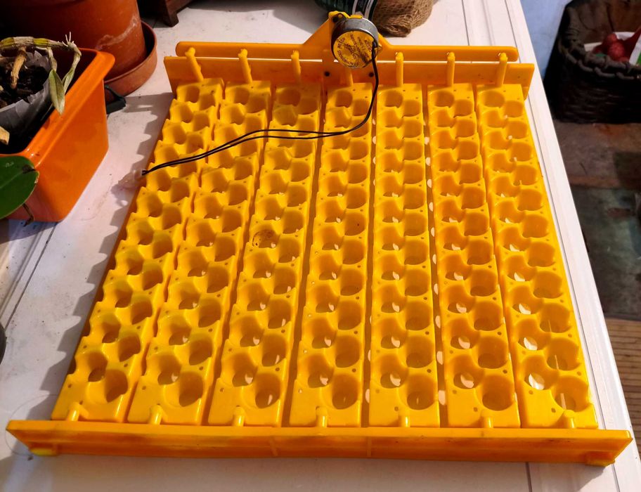 Tabuleiro para chocadeira modelo wq48 (154 ovos de codorniz)